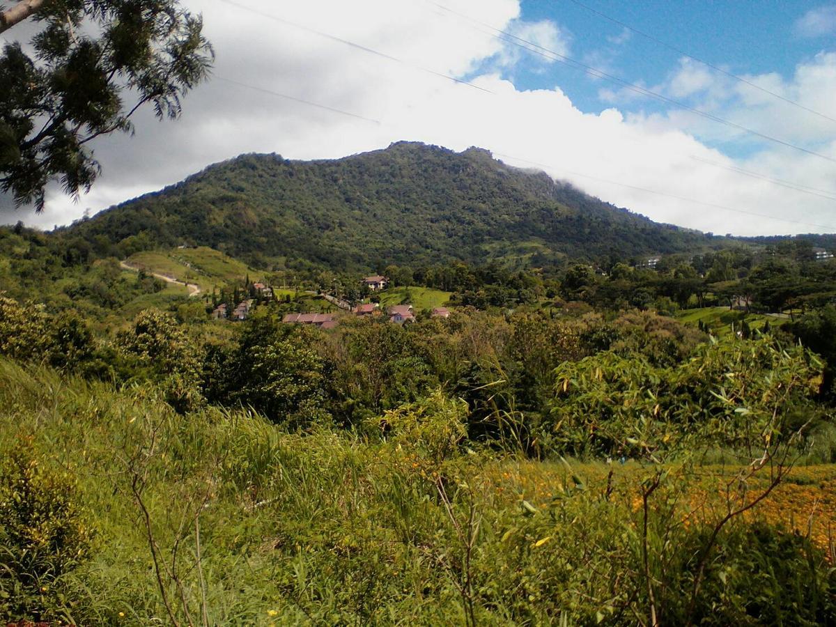Red Z Cool Mountain Ξενοδοχείο Khao Kho Εξωτερικό φωτογραφία